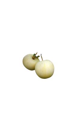 Яблоня Белый Налив (Папировка)